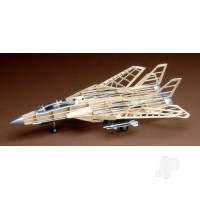 F-14 Tomcat