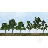 Deciduous Sycamore, 2.5in to 4.5in, N to HO-Scale, (20 pcs)
