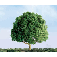 Oak, 1-1/2in, (4 pcs)