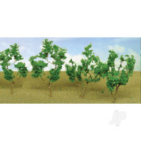 Light Green Branches, 1.5in to 3in, (60 pcs)