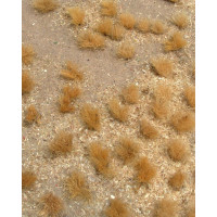 Golden Grassland, 5x7in, Sheet