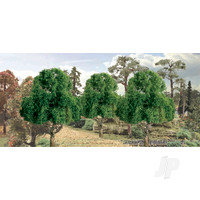 Deciduous, 5.5in, (1 per pack)