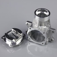 Crankcase Lower and Backplate (fits 15cc RE)