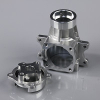 Crankcase Lower and Backplate (fits 15cc SE)