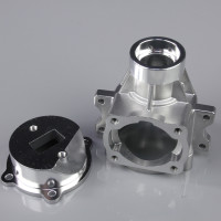 Crankcase Lower and Backplate (fits 26cc RE)