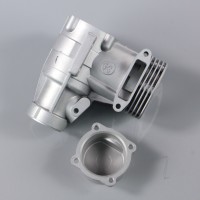Crankcase and back plate (for SC52A-S)