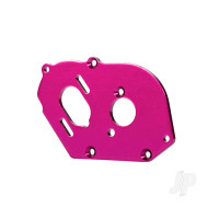 Plate, motor, 6061-T6 aluminium (Pink-anodised) (4mm thick) / 3x10mm CS with split and flat washer (2 pcs)