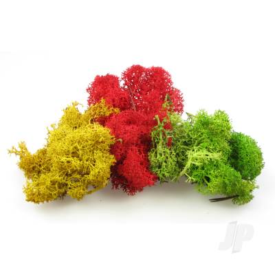 Monster Lichen, Mixed (3232)