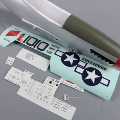 Fuselage (Painted) (for P51 850mm)