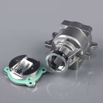 Crankcase Lower and Backplate (fits 20cc SE)