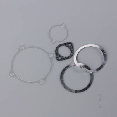 Gasket set, cylinder head, backplate, cam plate, inlet manifold) (for SC70FS)