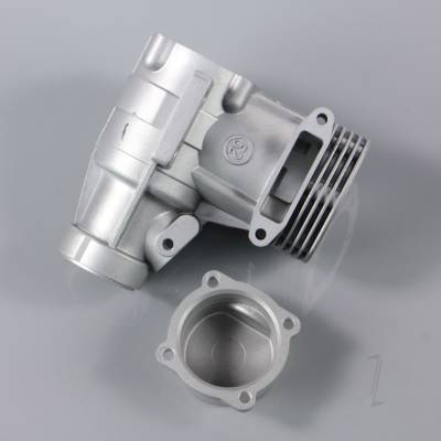 Crankcase and back plate (for SC52A-S)