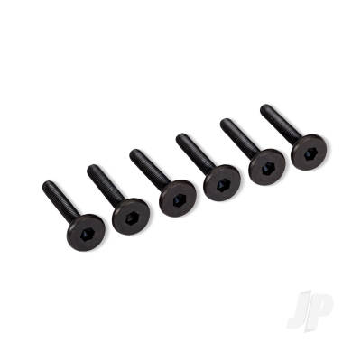 Screws Flat-Head 3x20mm Hex (6)