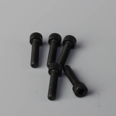 Bolt M5x22mm (5 pcs)