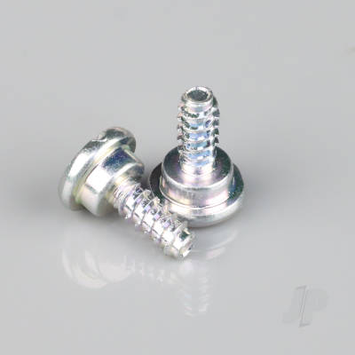 Screw (2 pcs) (For G430)