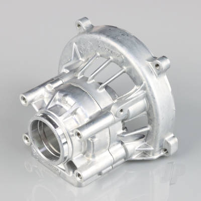 Cankcase Assembly (For G320)