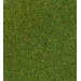 Dark Green · 75 x 100cm
