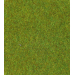 Light Green · 200 x 100cm