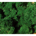 Dark Green · Large